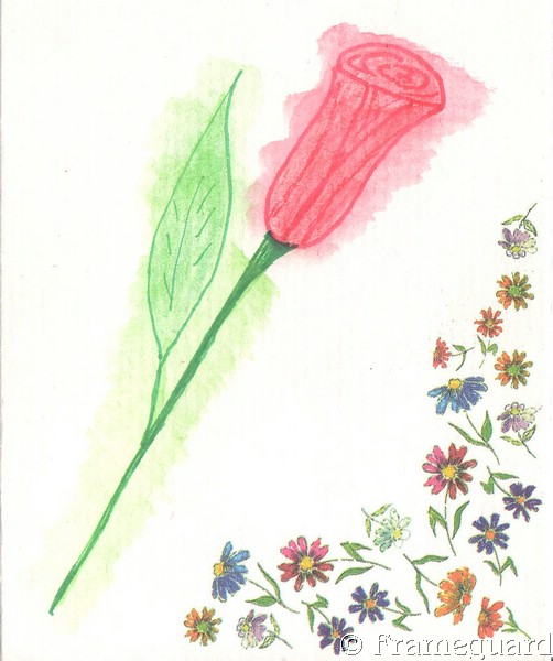 Bine Sch.-Rose (Zeichnung).jpg