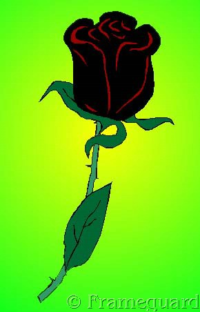 Sabine Hoffer - Die schwarze Rose (Computerzeichnung, koloriert von Georg Siebert).jpg