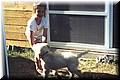 sollenau07-sandra-bajazzo.JPG